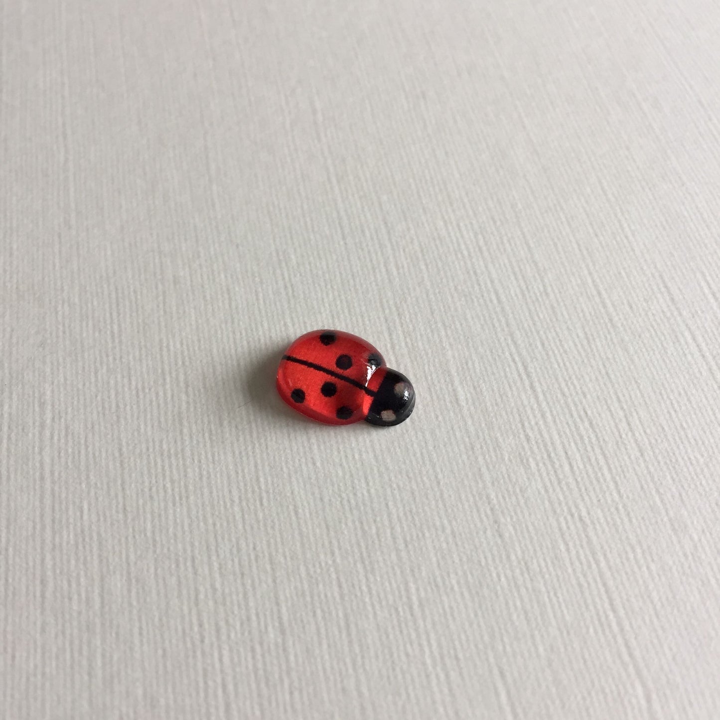 30 Red & Black LABYBIRD Flat Back Resin Embellishments