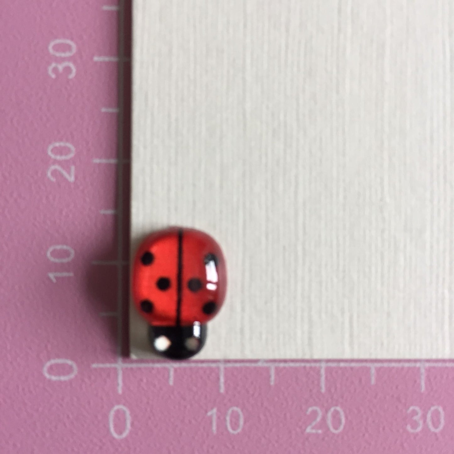 30 Red & Black LABYBIRD Flat Back Resin Embellishments